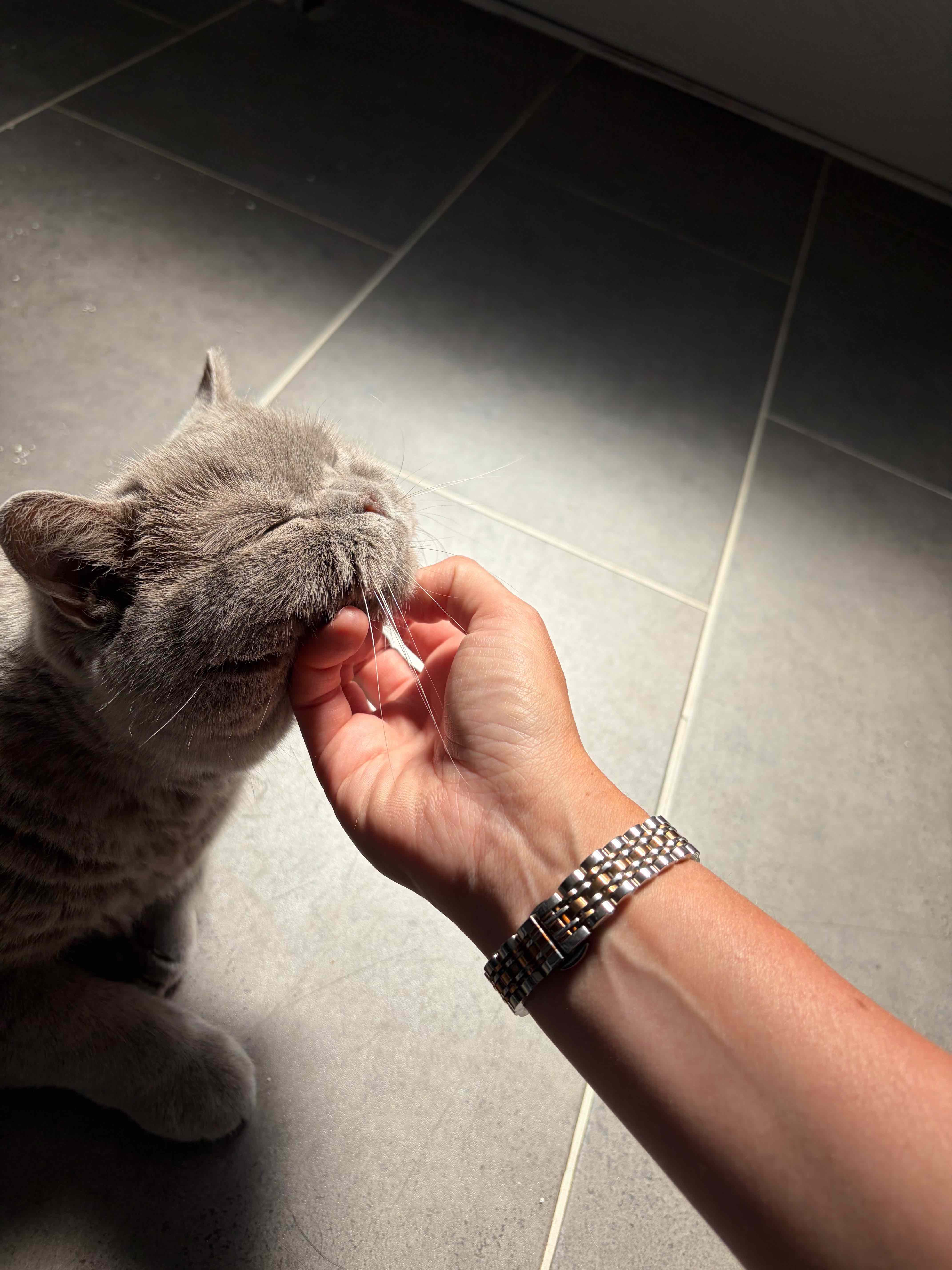 Shivonne meeting a client’s cat